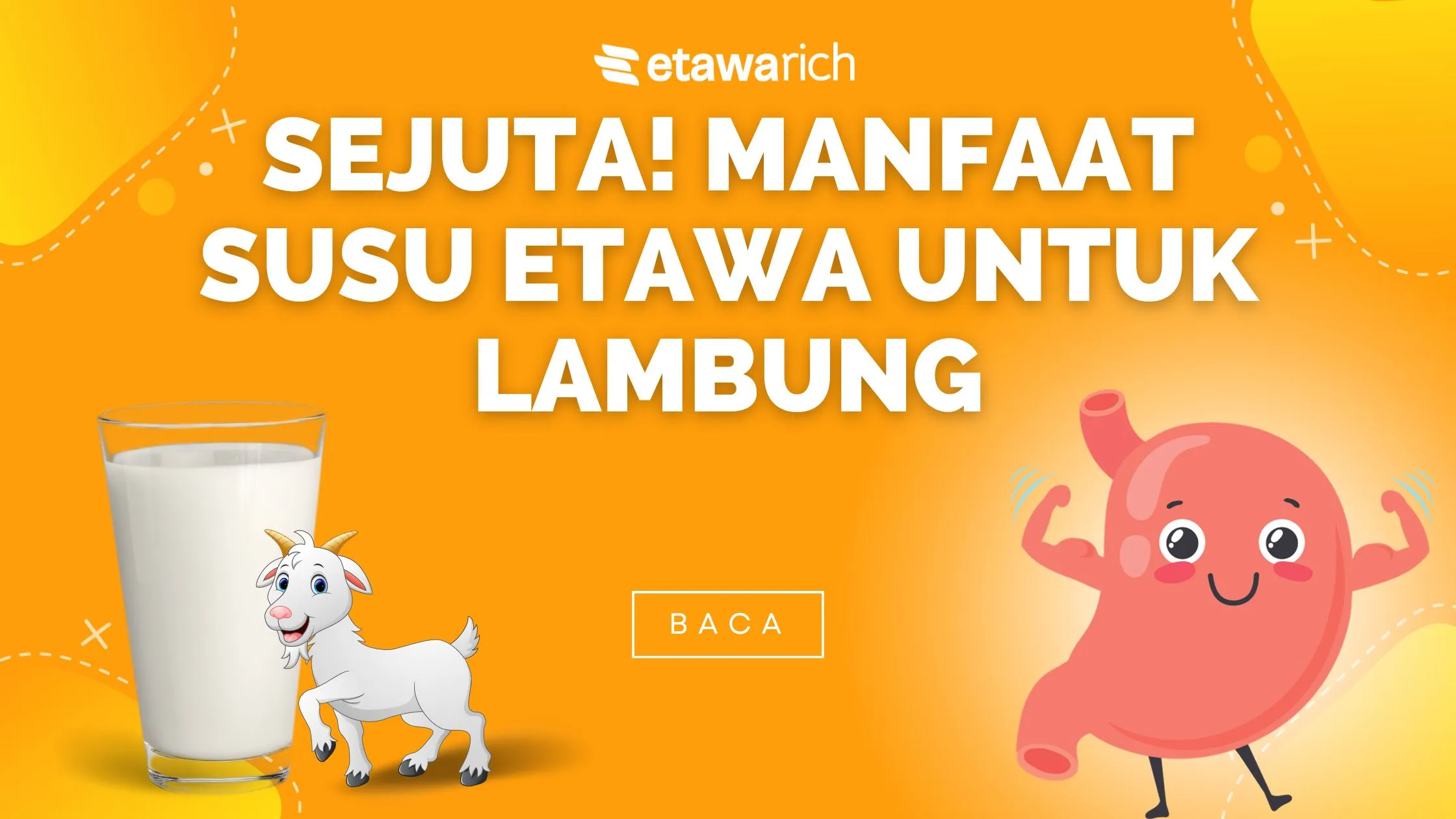 susu etawa untuk lambung