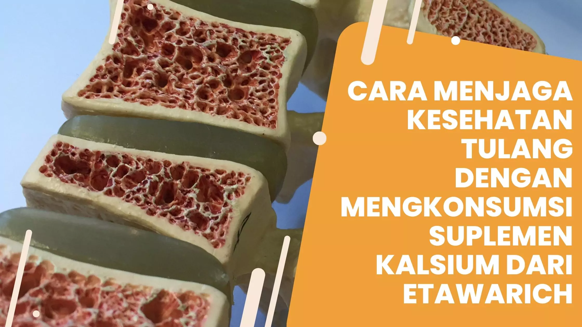 cara menjaga kesehatan tulang