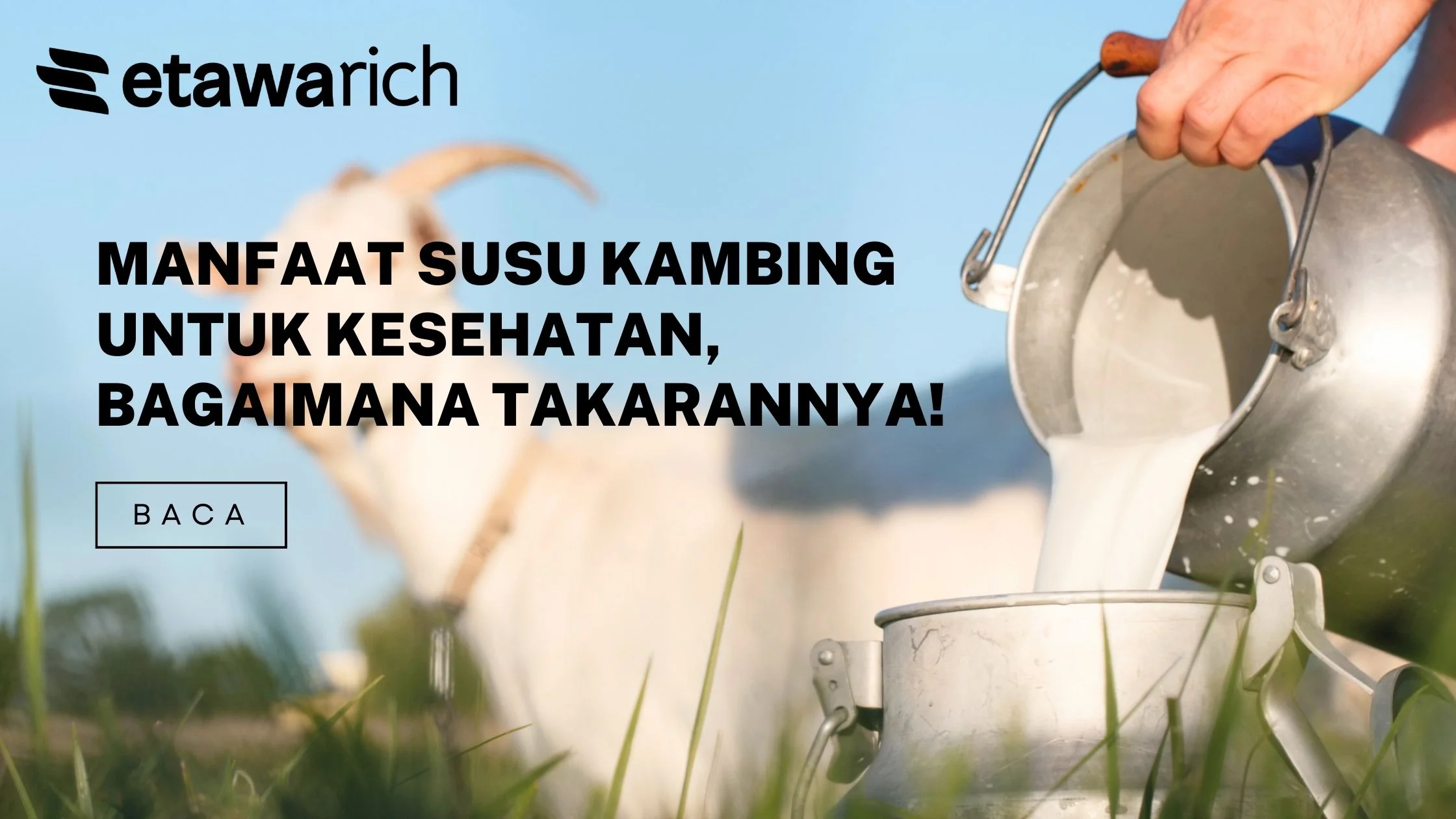 manfaat susu kambing untuk kesehatan