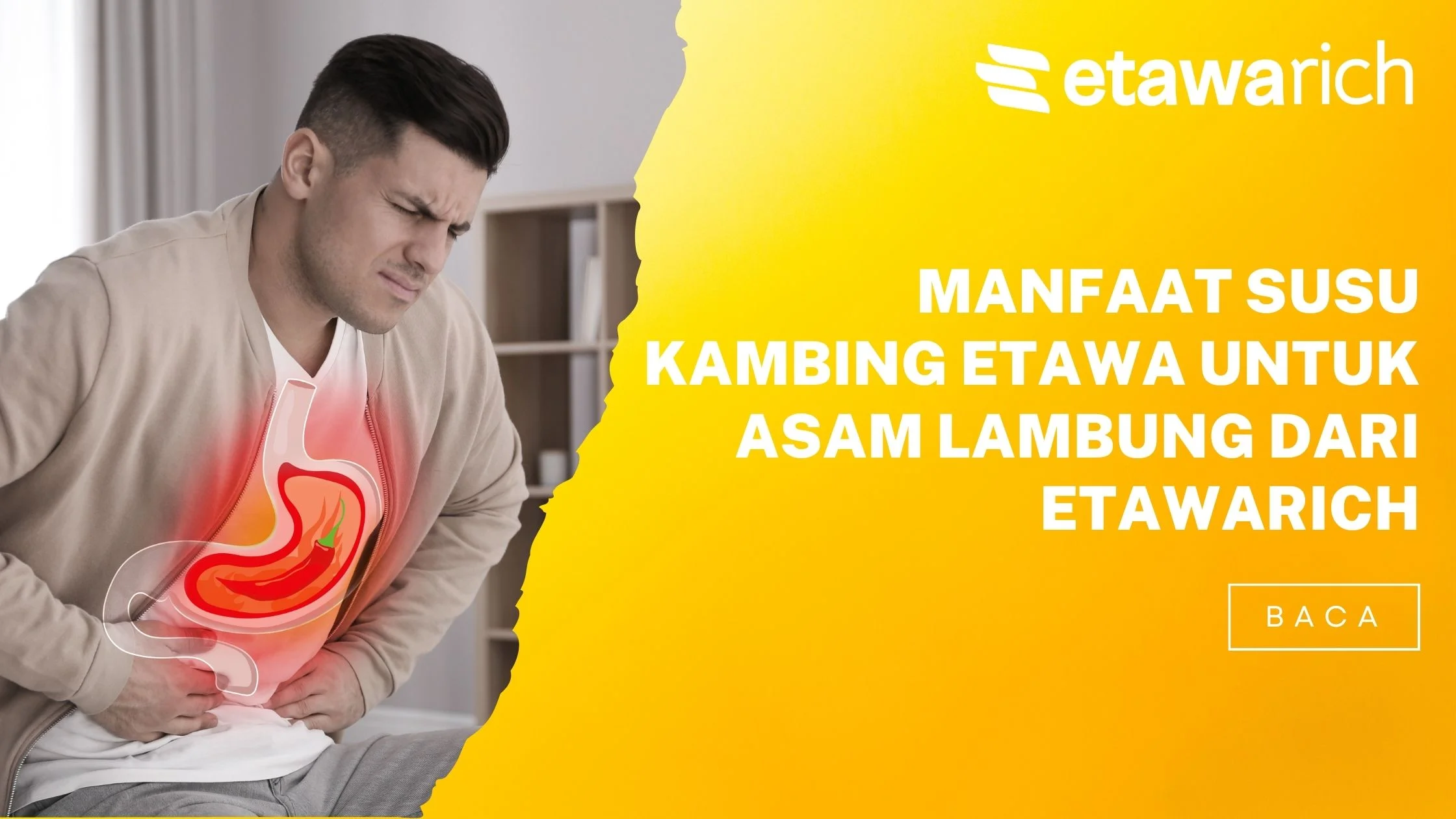 manfaat susu kambing etawa untuk asam lambung